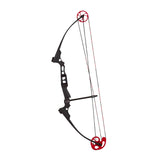 Mathews Genisis Compound Bow