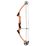 Mathews Genisis Compound Bow